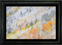 Fine Art Prints