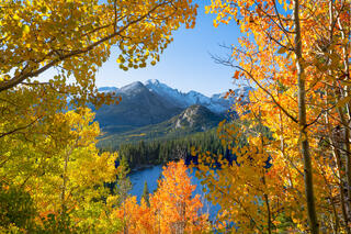 Autumn's Frame