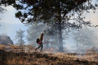 Stage 2 Fire Restrictions in Effect Until Further Notice