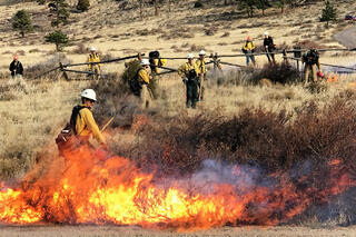 RMNP Announces Plans for Prescribed Burn on Monday, March 10, 2025 If Conditions Allow