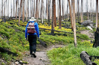 Explore Park Science at Rocky Mountain National Park’s Biennial Research Conference