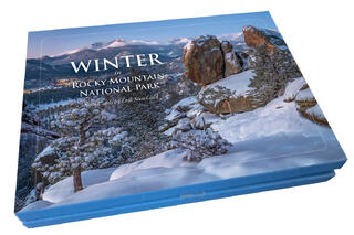 Winter Note Cards
