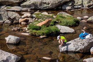 RMNP/Rocky Mountain Conservancy Are Accepting Applications for the 2025 Bailey Research Fellowship