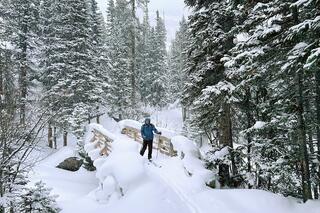 RMNP Offers Ranger-Led Ski Tours on the West Side of the Park this February