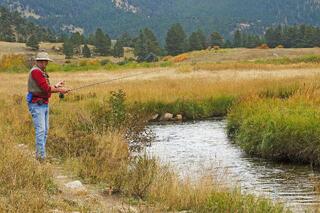 Join A Virtual Information Session on Wetland Restoration