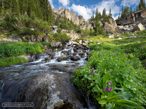 July 7, 2025