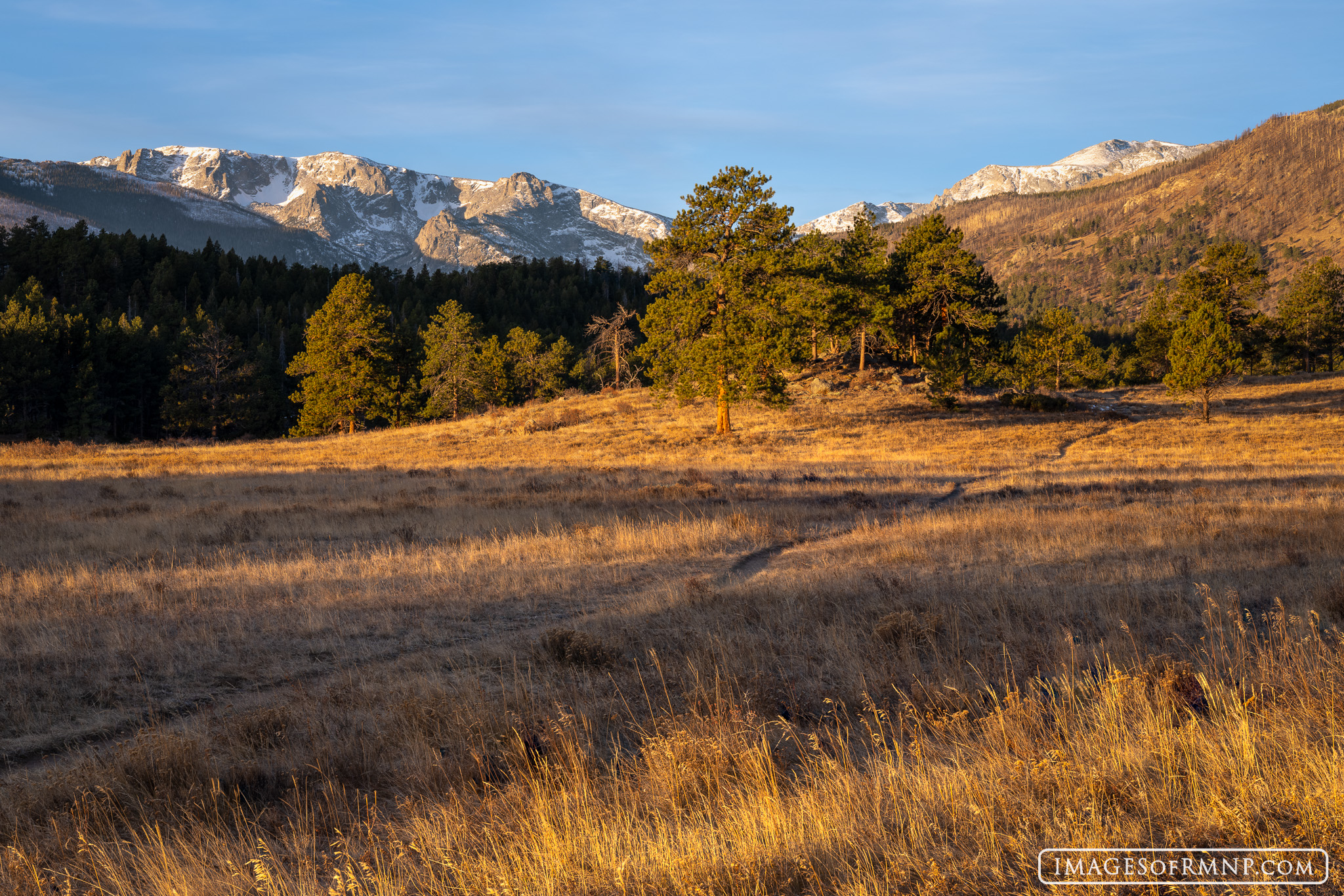 November 15, 2023 I've been traveling quite a bit recently and so have fallen behind on posting photos here. Despite some snow early in the month...