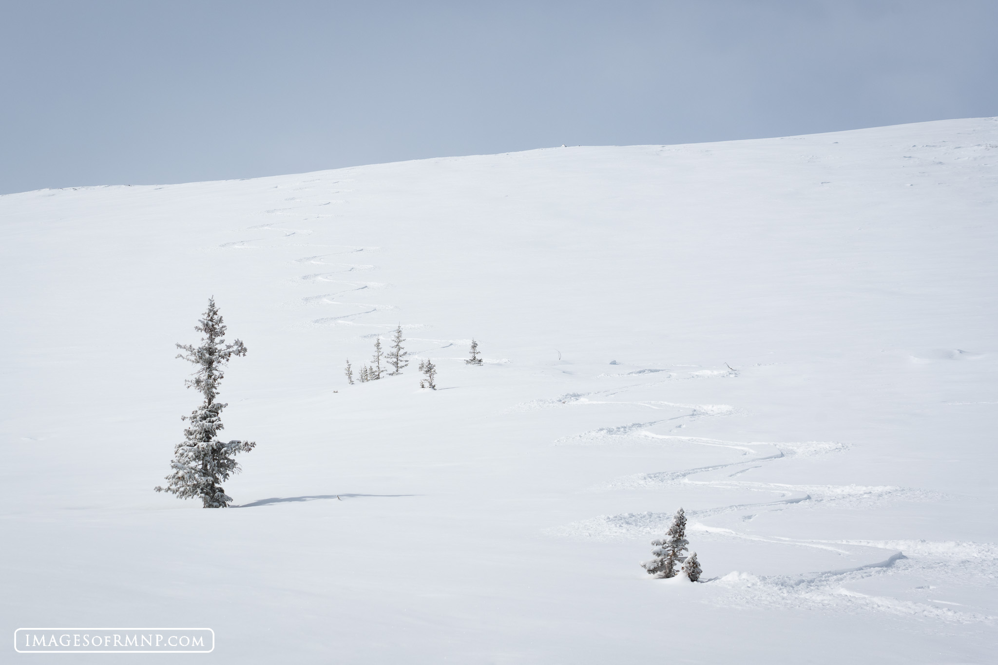 March 25, 2024 We had a snowstorm move through the park last night. So I headed out first thing this morning to get a quick ski run in on Flattop...