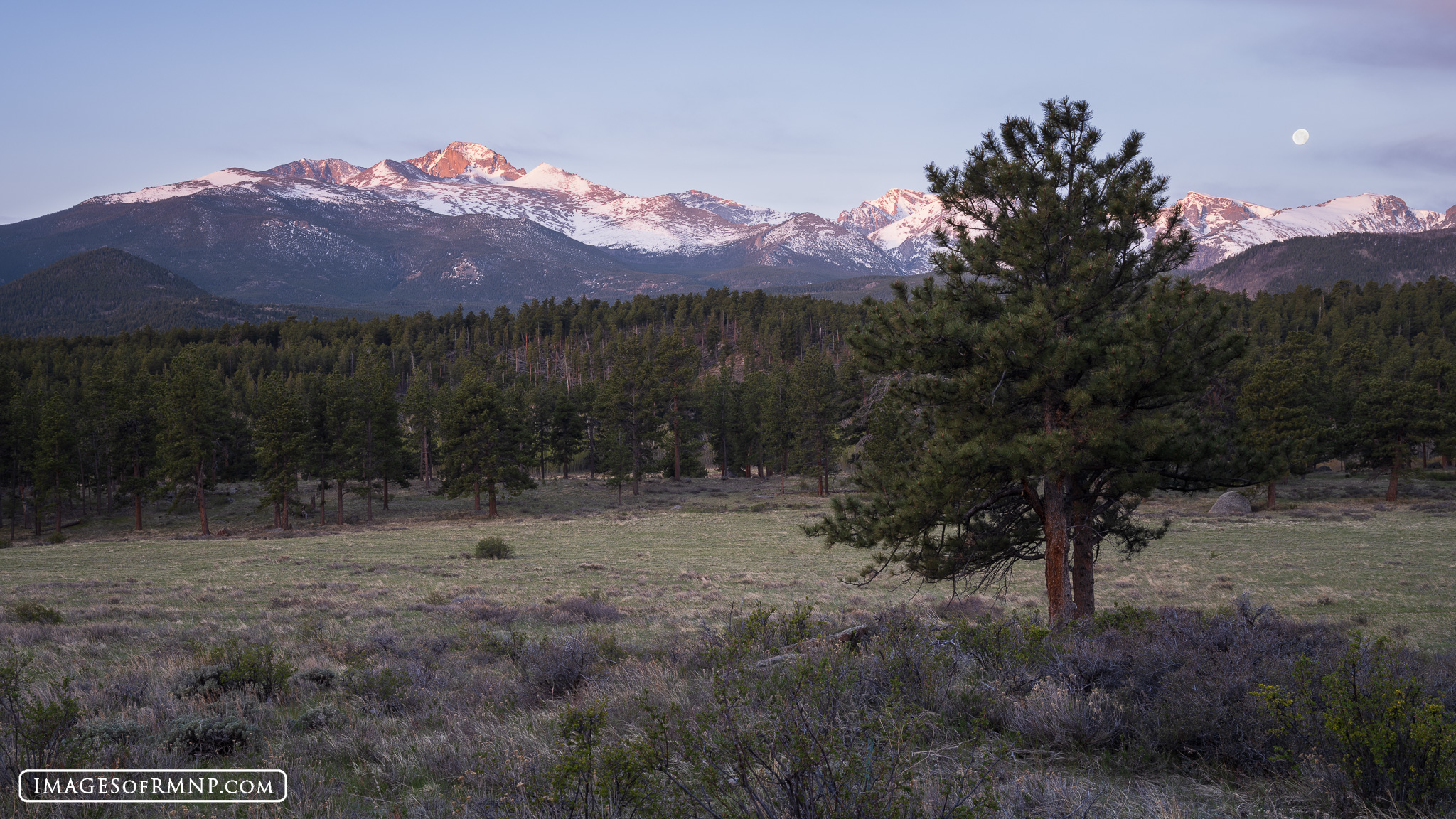 May 25, 2024 Long Peak and full moon over Beaver Meados, Rocky Mountain National Park.