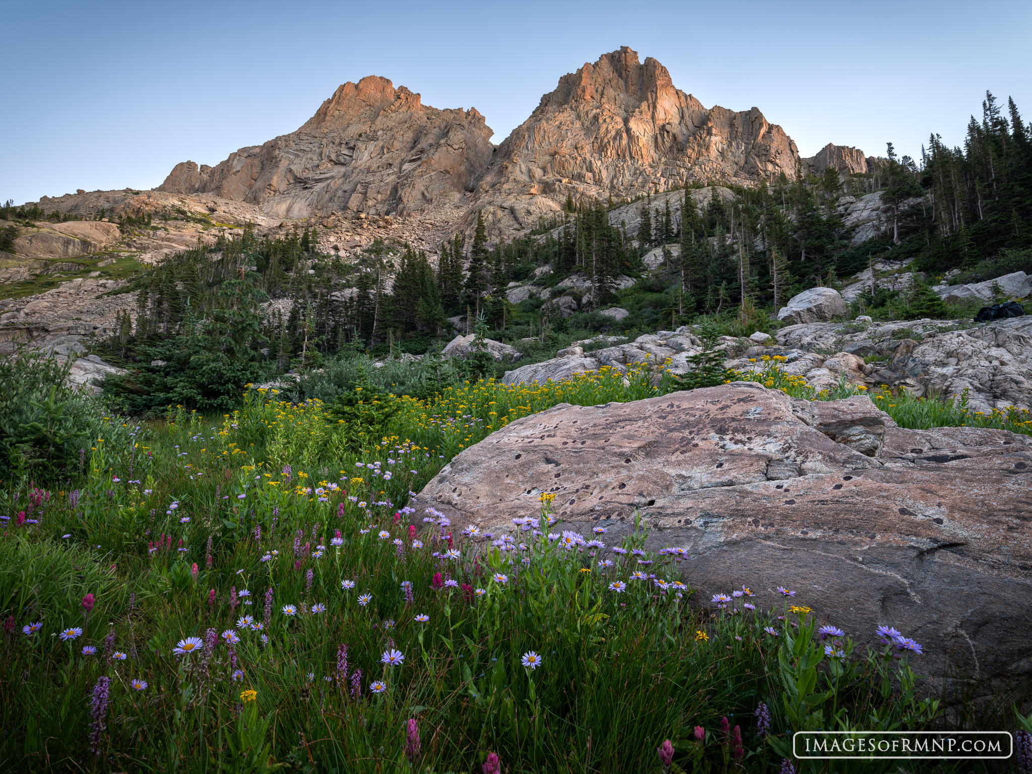 August 5, 2024 | Remote Rocky | Rocky Mountain National Park