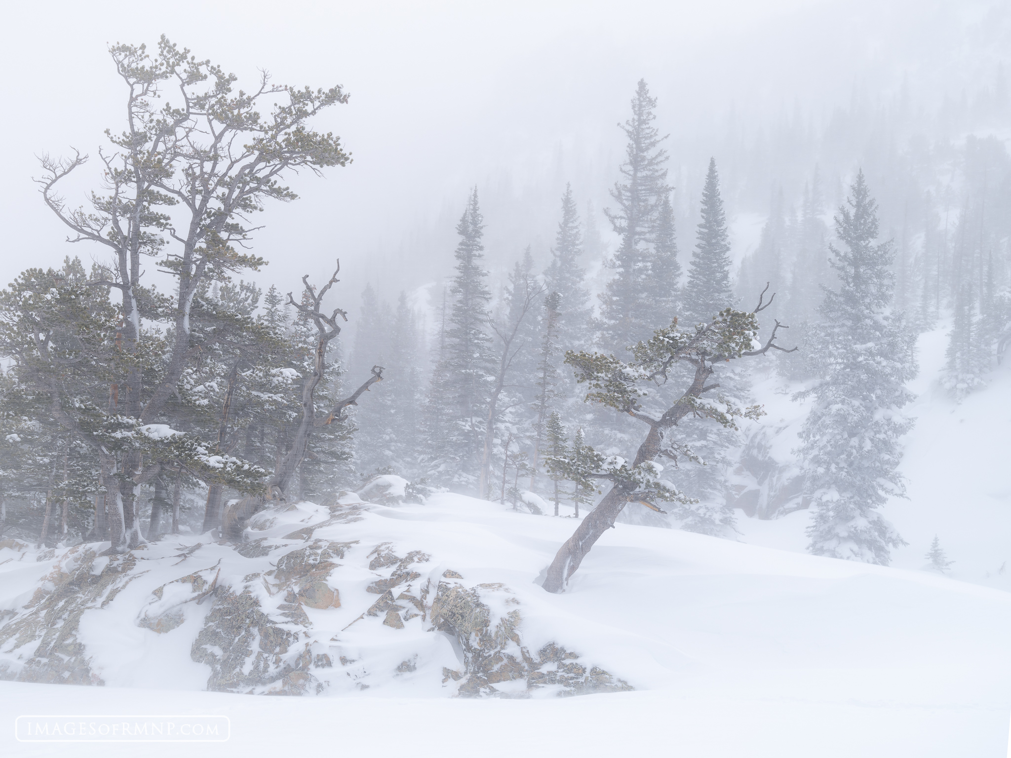 January 2, 2025 Nearly two feet of fresh snow fell during the night, making the hike up to Dream Lake more challenging than usual. As I stood...