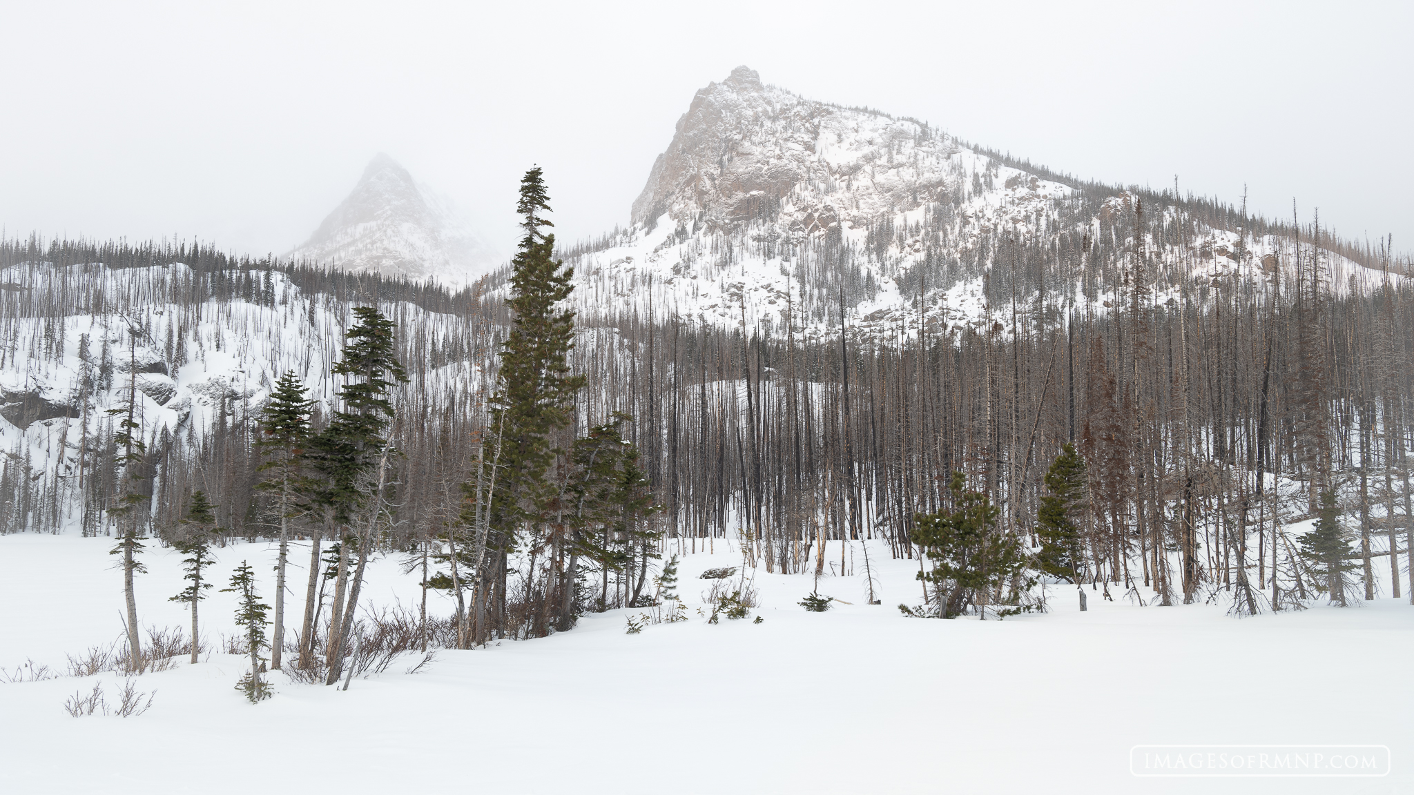 March 31, 2025 This morning I hiked up to Fern Lake for sunrise. There wasn't much of a sunrise to be seen as there were lots of clouds and...