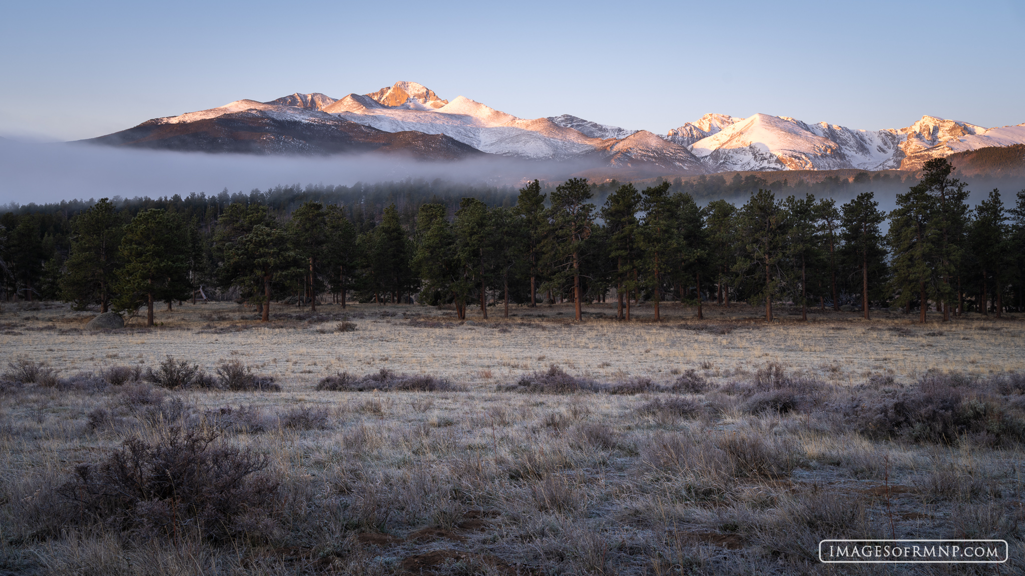 April 29, 2025 | Beaver Meadows | Rocky Mountain National Park