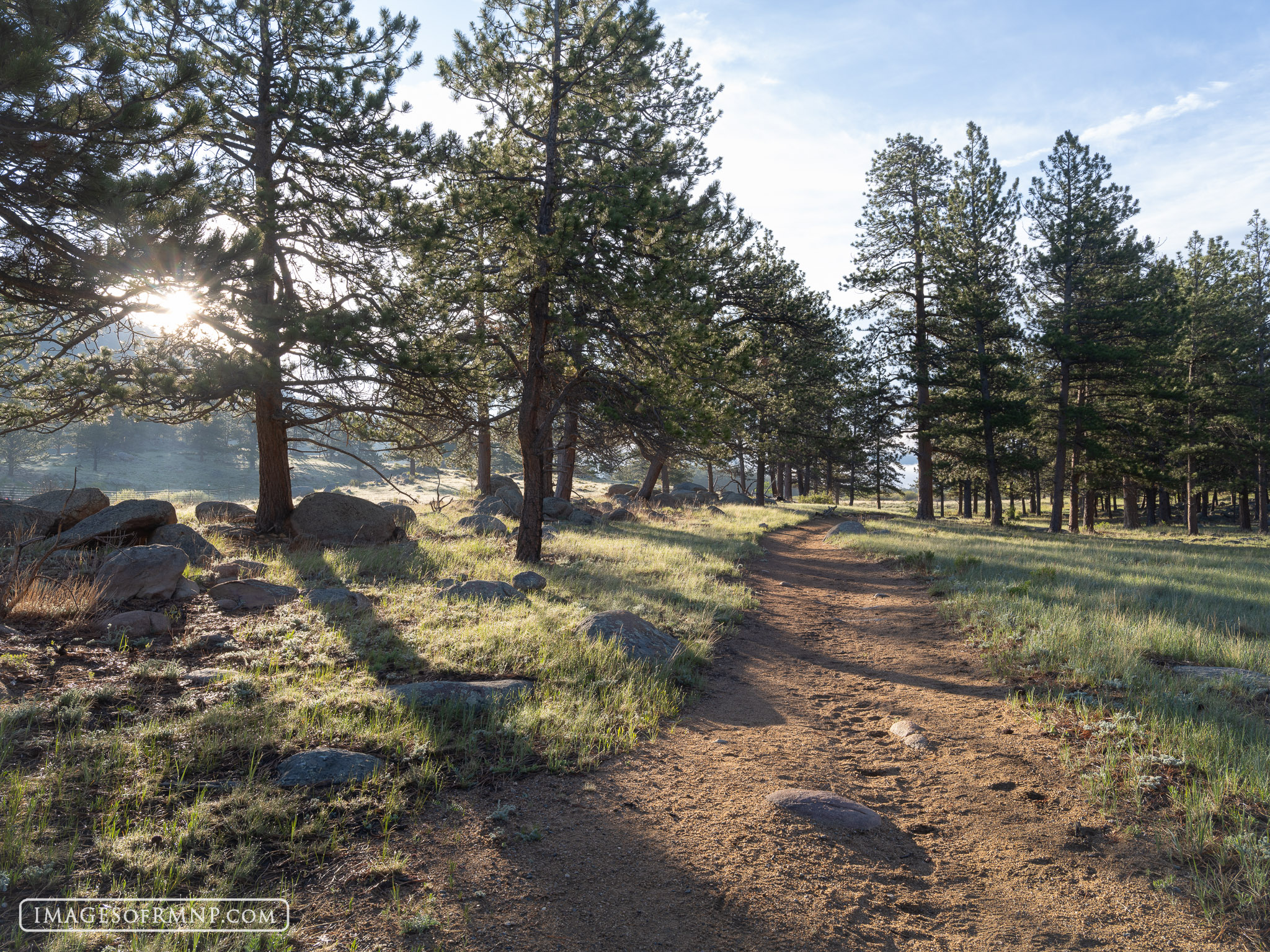 June 4, 2025 | Beaver Meadows | Rocky Mountain National Park