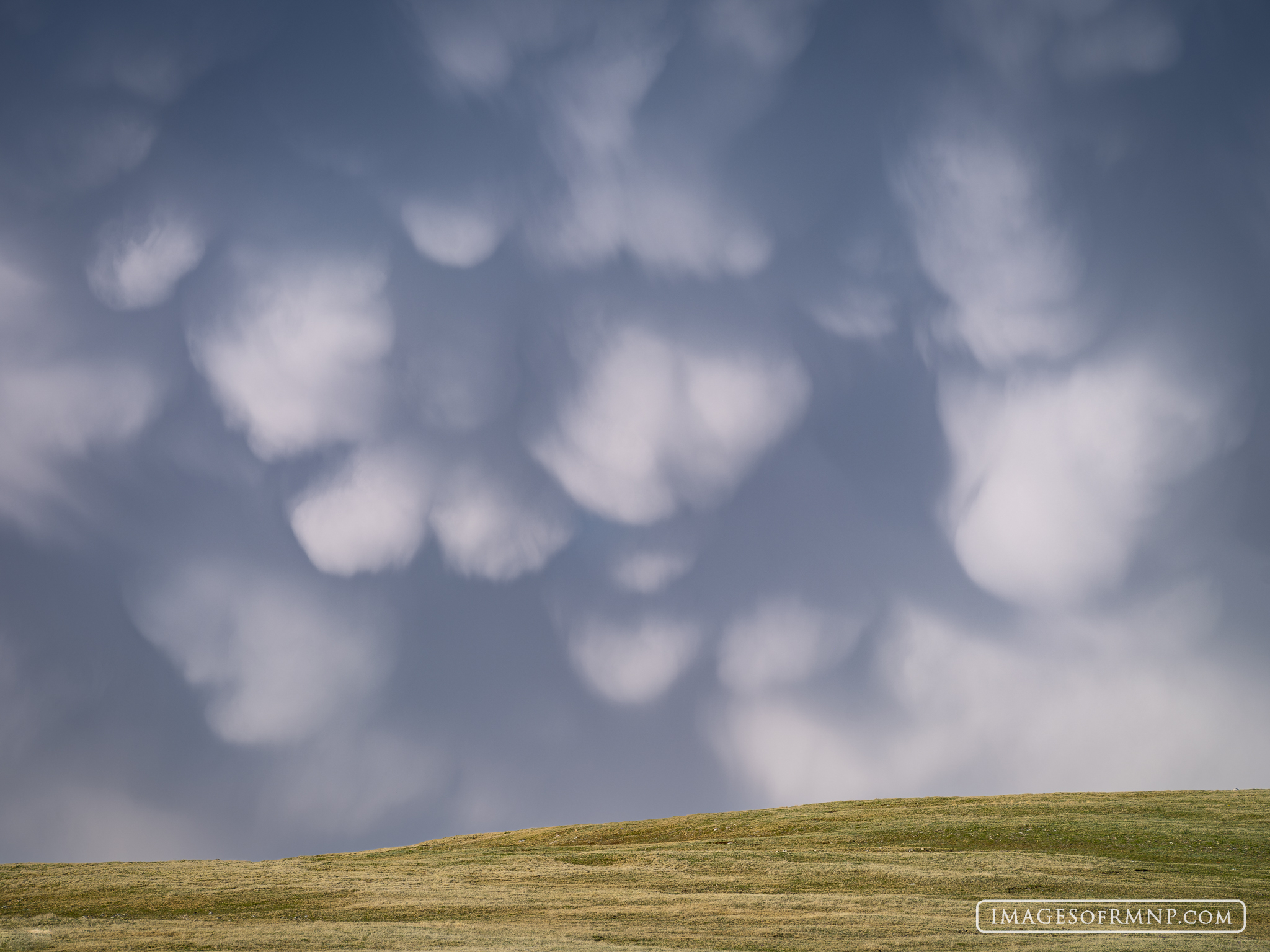 June 17, 2025 Late in the evening, following a thunderstorm on Trail Ridge Road, the sky filled with these amazing mammatus clouds which created...