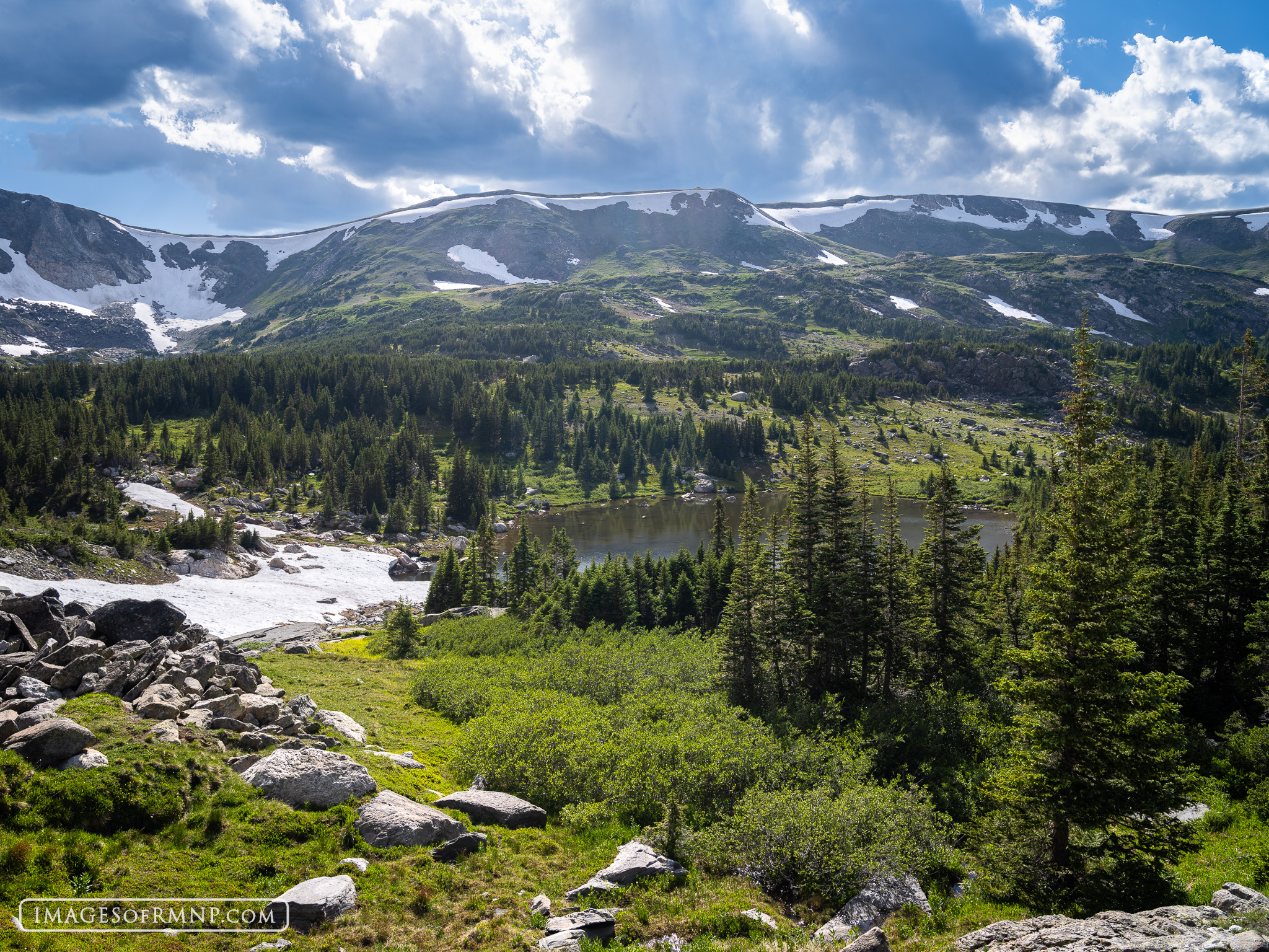 July 12, 2025 Lately, I've been spending a lot of time all over the park, heading into areas where almost no one ever visits. There are so...