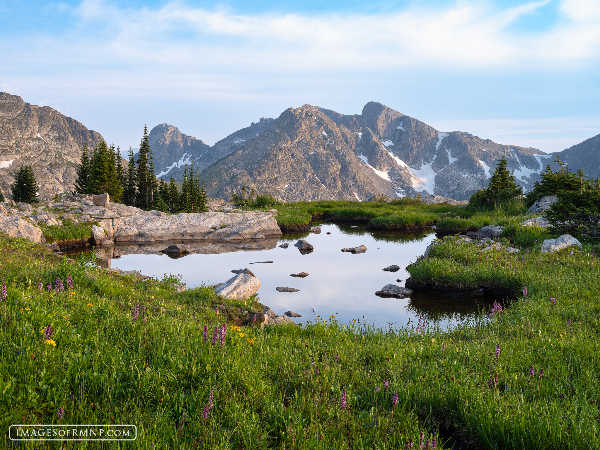 August 4, 2025 | Rocky Mountain National Park August 4, 2025 | Rocky Mountain National Park
