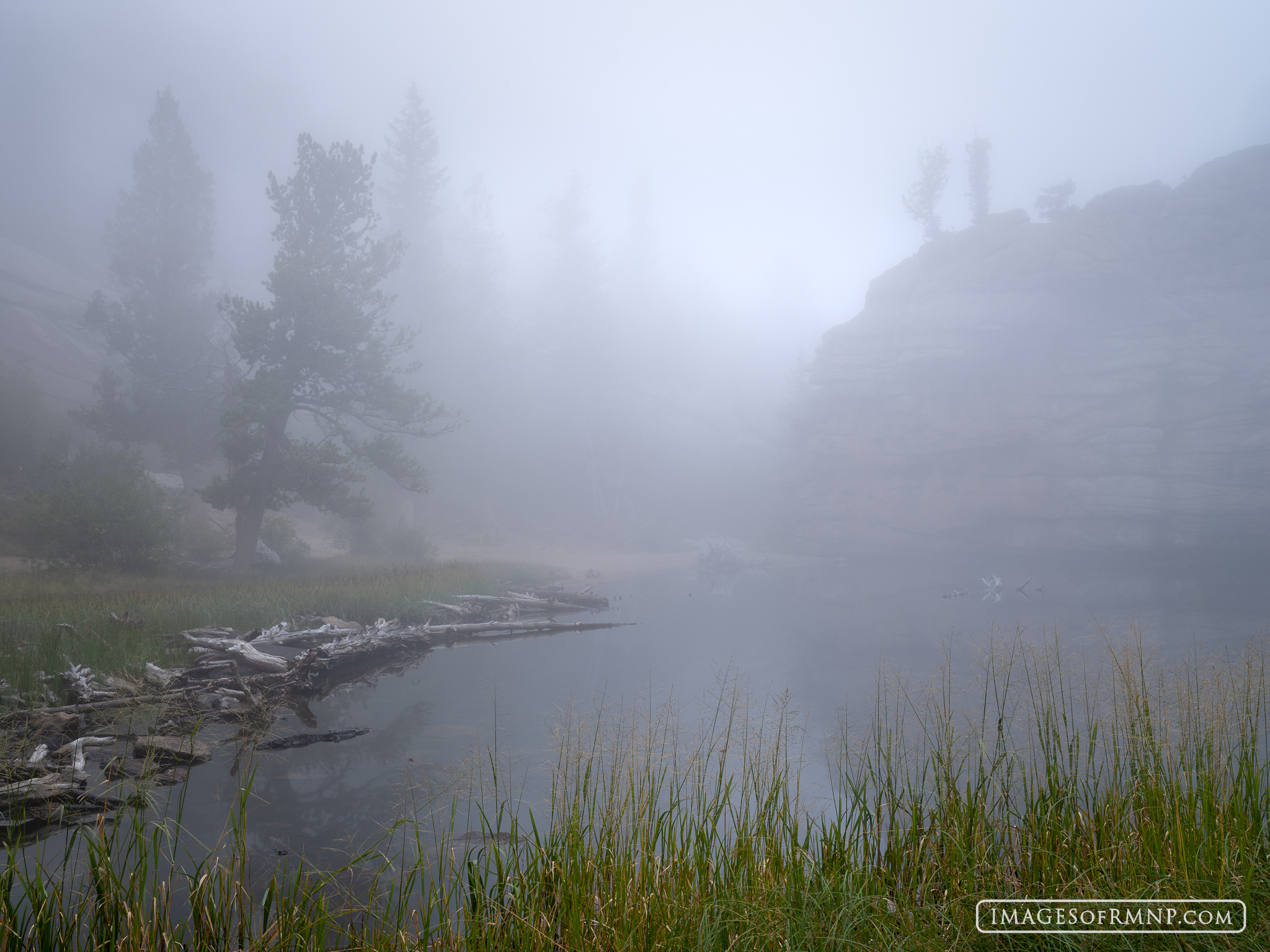 August 23, 2025 We've finally had some cool and even rainy weather move in to the area. This has even produced some days with low-lying clouds...