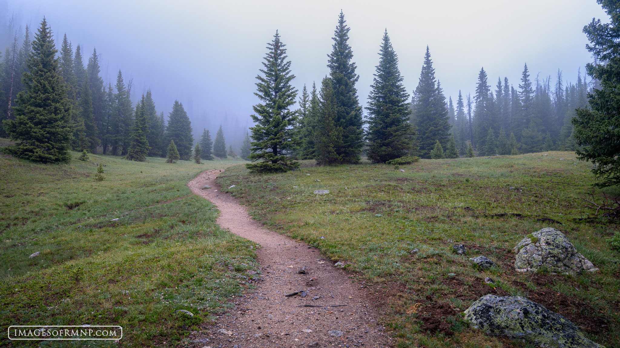 June 25, 2026 We had a very rare foggy day up on Trail Ridge Road in Rocky Mountain National Park along with a little bit of much needed...
