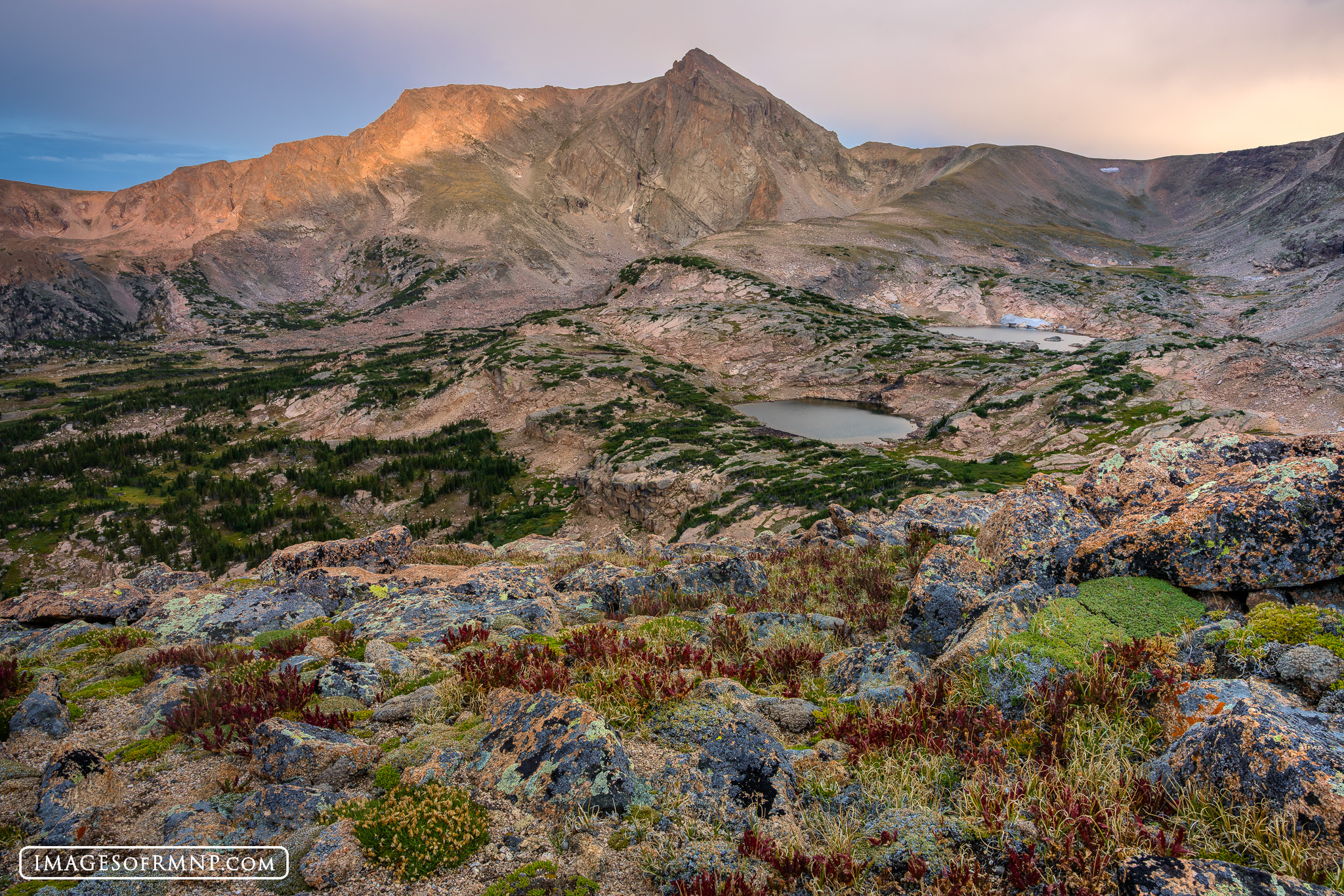 August 25, 2026 On this morning I hiked in about 7 miles to photograph this view at sunrise. My hope was that the alpine avens might have...