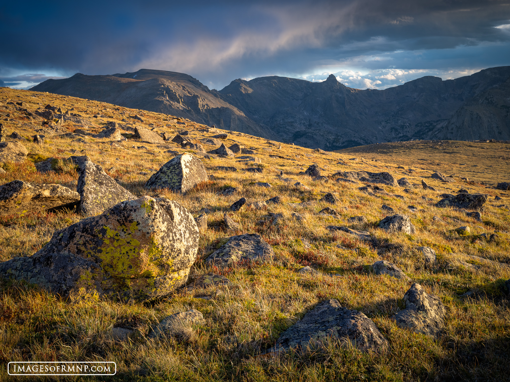 September 12, 2026 The alpine tundra in Rocky Mountain National Park is now golden as it enters the late stage of the autumn season. It is now experiencing...