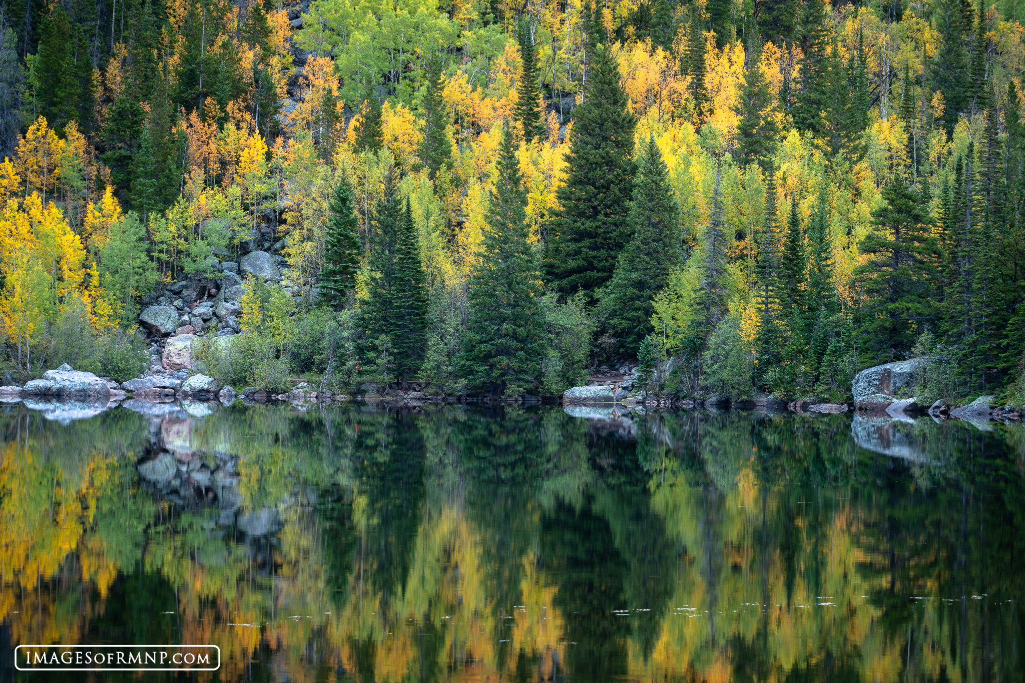 September 17, 2026 The autumn colors are beginning to look pretty good at Bear Lake. I was fortunate today to find completely still water, which...