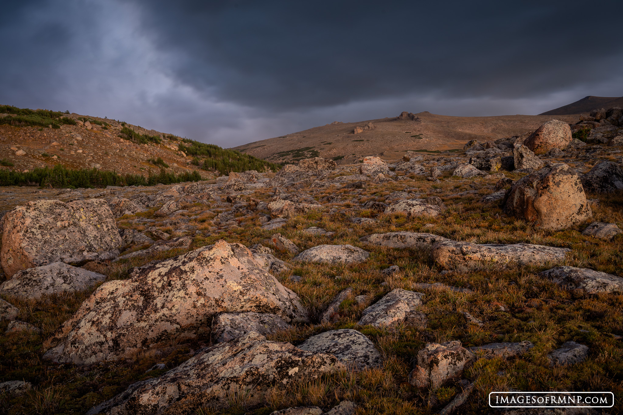 September 19, 2026 This morning a thunderstorm rolled through the alpine zone just before sunrise. I got pretty wet as it came through. It...